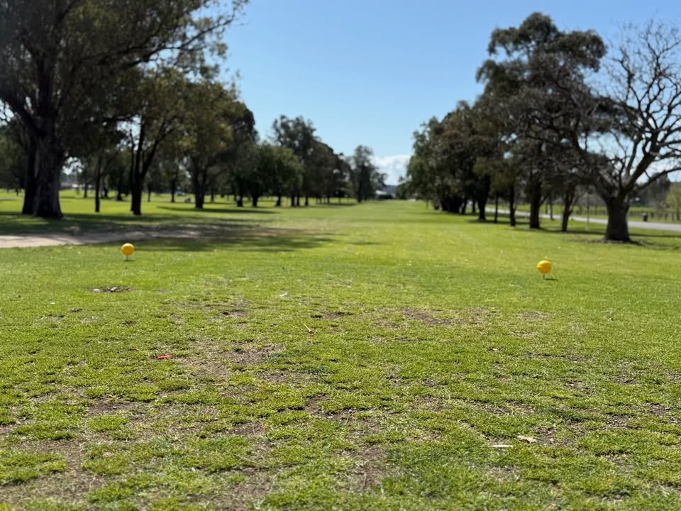 Featured image for “New Forward Yellow Tees: Enhancing the Golfing Experience at Singleton Golf Club”
