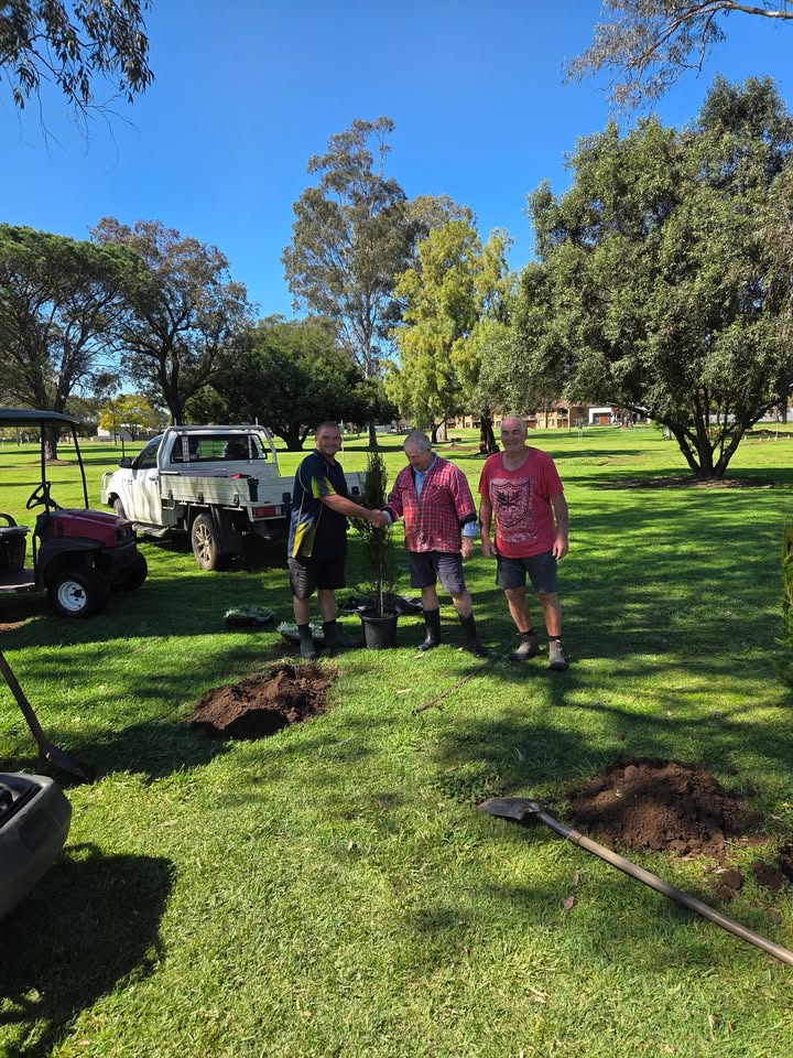 Featured image for “Singleton Golf Club Tree Planting: Protecting the 7th Green”