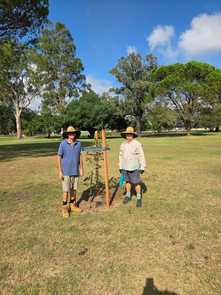 Featured image for “Volunteer Tree Planting at Singleton Golf Club”