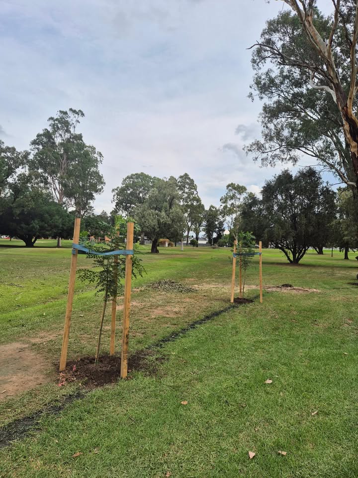 Featured image for “New Plants Enhance Singleton Golf Club Course”