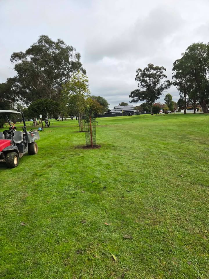 Featured image for “Friday Volunteers Enhance Singleton Golf Club Course”